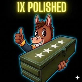 Polished 1x