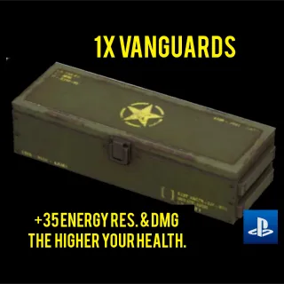 1X  VANGUARDS PS4 PS5