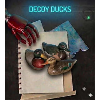 Decoy Ducks Plan Ps4 Ps5