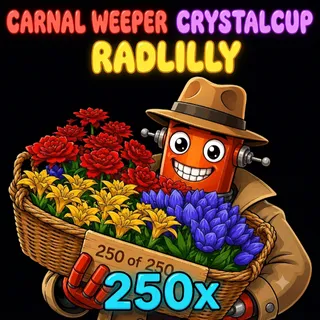 250x Of Each Susans Soothin Flowers