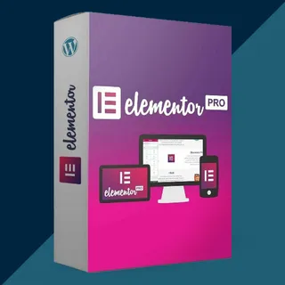 Elementor Pro Plugin (Lifetime / 1 Website) Key 🌎 - ⚡Fast DELIVERY