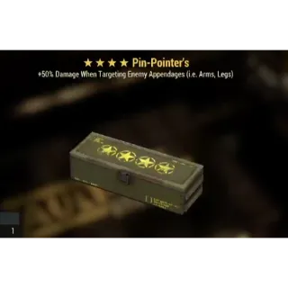 Pin Pointer MOD