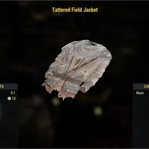 TATTERED FIELD JACKET