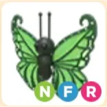 GREEN BUTTERFLY NFR