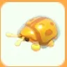 4x Gold Tortoise Beetle