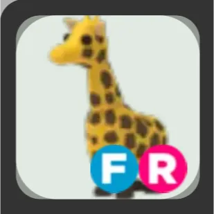 GIRAFFE FR