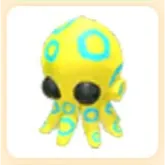 BLUE RINGED OCTOPUS 13X