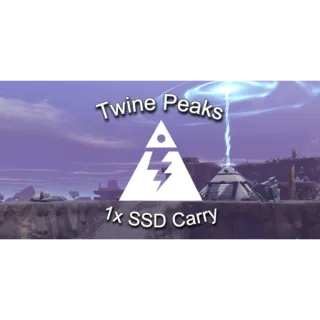 Twine Peaks | 1x SSD Build/Carry