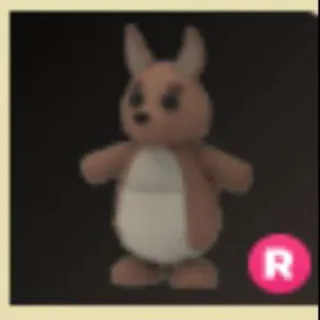 R Kangaroo | ADOPT ME