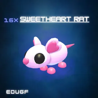 16x Sweetheart Rat