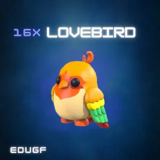 16x LOVEBIRD