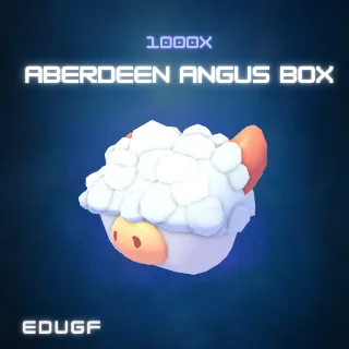 1000x Aberdeen Angus Box