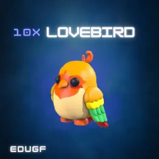 10x Lovebird