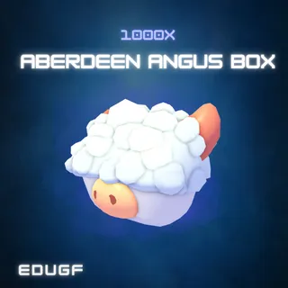 1000x Aberdeen Angus Box