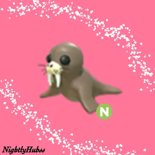 N Walrus