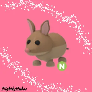 N Bandicoot