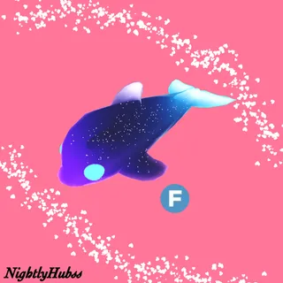 F Glormy Dolphin