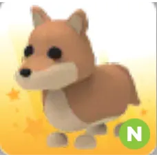 neon dingo