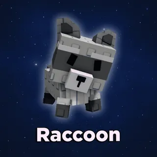 Raccoon Grow A Garden