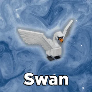 Swan