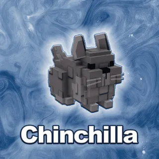 Chinchilla