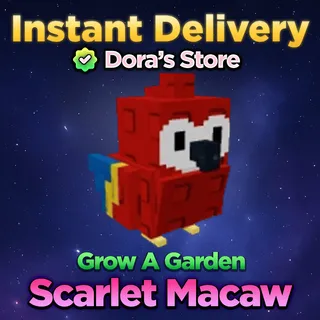 Scarlet Macaw