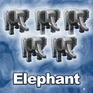 Elephant