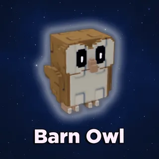 Barn Owl