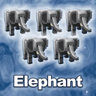 Elephant