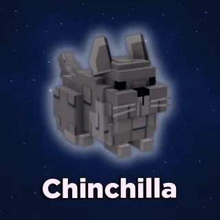 Chinchilla Grow A Garden