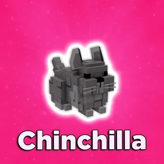 Chinchilla Grow A Garden