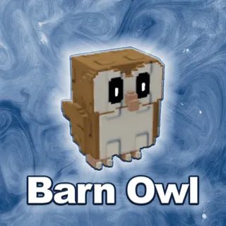 Barn Owl