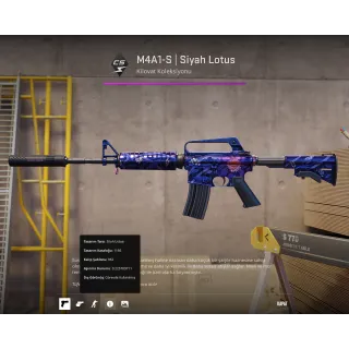 M4A1-S | Black Lotus (Field-Tested)