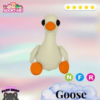NFR Goose