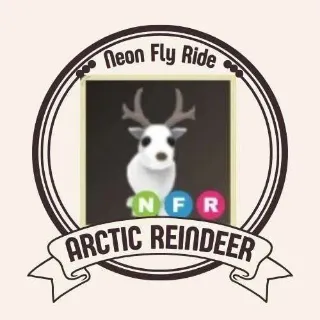 NFR Arctic Reindeer