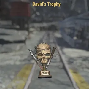 David’s  Trophy