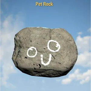 Pet Rock