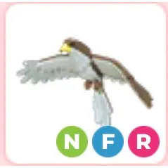 hawk NFR