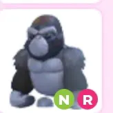 Silverback Gorilla