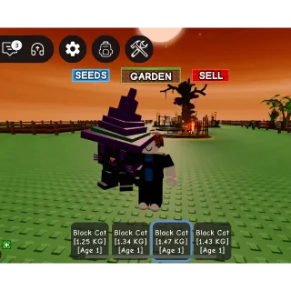 Black Cat 4X Grow A Garden