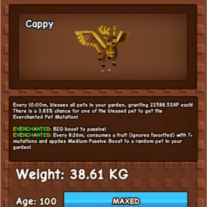 GILDED CHOC PERYTON 38KG