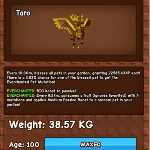 GILDED CHOC PERYTON 38KG