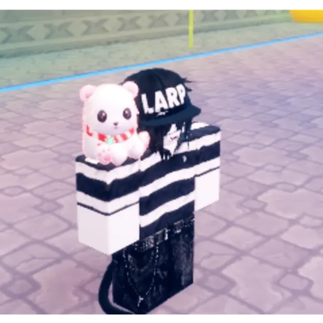 出品写真