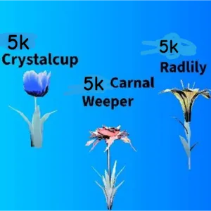 5k of each flower