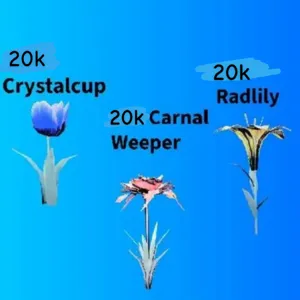 20k of each flower