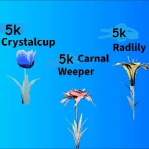 5k of each flower