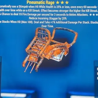 sturdy rage medium armor