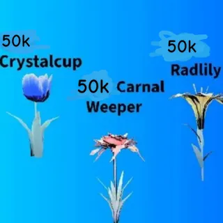 50k each flower