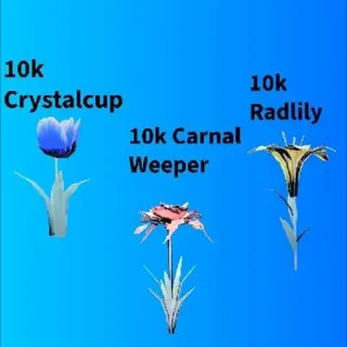 10k of each flower