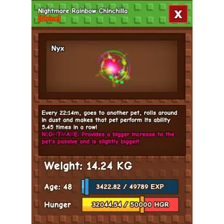 Rainbow hatched chinchilla rare collectors pet